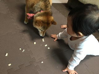 0A797663-23C5-471D-8B6D-3AB0C25CC683.jpg