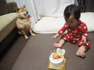 7AF6B710-9B60-499E-B991-BFE89281A5AE.jpg