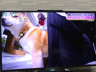 7BEE926F-D9E4-4C4A-AD68-192299DD7612.jpg