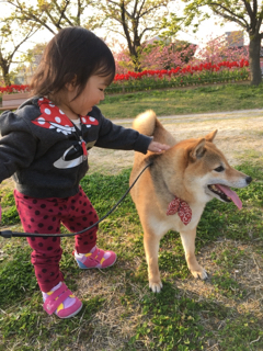 83CF7337-4BB1-475D-AA24-93CA68101E2F.jpg