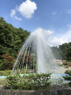 8824245F-D321-4A18-BE5D-0490E7EF6A00.jpg