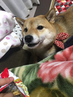 8A2769D0-2FBB-4879-B485-F431FC7C18F5.jpg