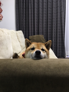 A926DF33-BD1D-416F-9CCE-FFBEF58218D0.jpg