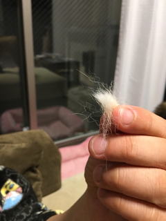 AC6D2043-3819-4AFE-B9F4-8F06AE6B6EE9.jpg