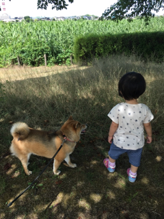 B81B33A8-D936-430C-B2AE-61648CCFB0C7.jpg