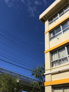 BDF9A7E9-34A9-463D-AEA5-68E3447675EC.jpg