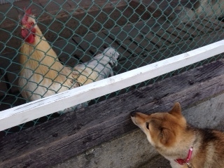 照片 2.jpg