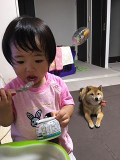 C5F3601A-2BAF-46DD-A581-79955E40BB5E.jpg