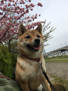 F457A5F3-14CF-4C91-BEA3-C5B29A1D63E1.jpg
