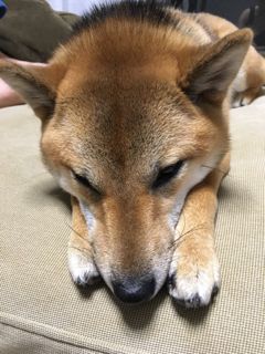 IMG_0011.jpg