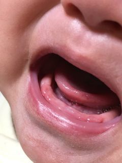 IMG_0126.jpg