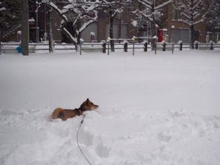 IMG_0390.jpg