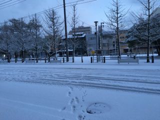 IMG_0664.jpg