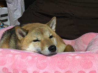 IMG_0727.jpg