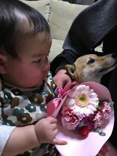 IMG_1574.jpg
