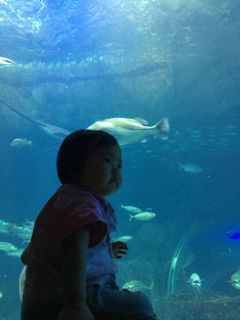 IMG_2144.jpg