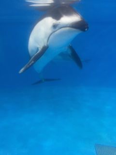 IMG_2228.jpg