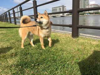 IMG_3308.jpg