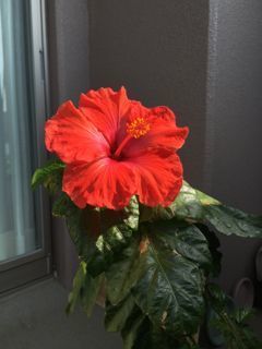 IMG_3428.jpg