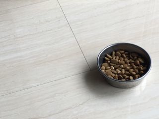 IMG_4237.jpg