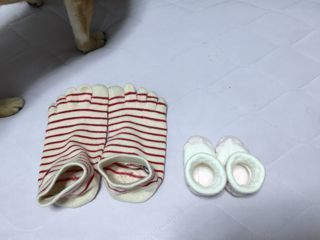 IMG_5853.jpg
