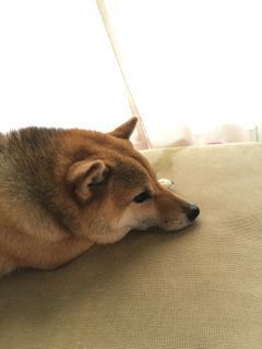 IMG_6788.jpg