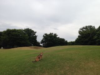 IMG_7594.jpg