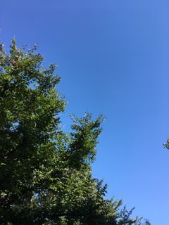 IMG_7636.jpg