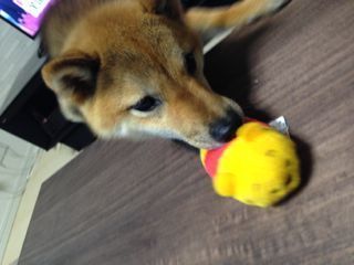 IMG_7724.jpg