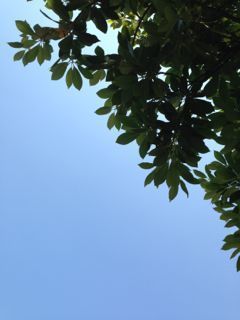 IMG_7880.jpg