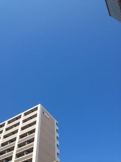 IMG_7993.jpg
