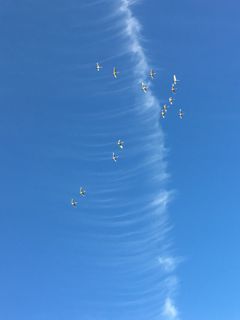 IMG_8050.jpg