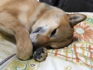 IMG_8170.jpg