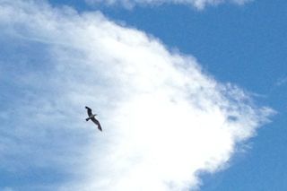 IMG_8251.jpg