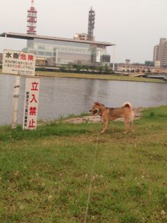 IMG_8432.jpg
