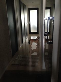 IMG_8485.jpg