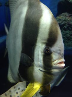 IMG_8655.jpg