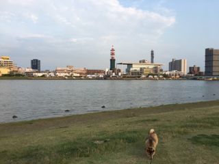 IMG_8676.jpg