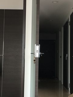 IMG_8688.jpg