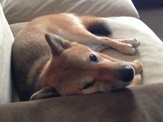 IMG_8905.jpg