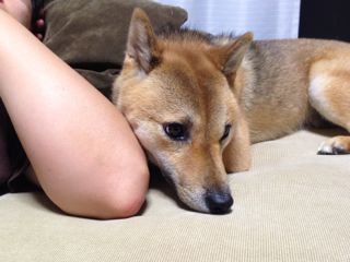 IMG_8952.jpg