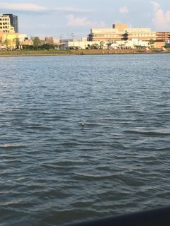 IMG_9029.jpg