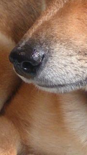 IMG_9116.jpg