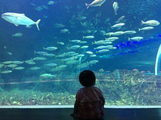 IMG_9140.jpg