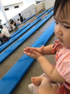 IMG_9155.jpg
