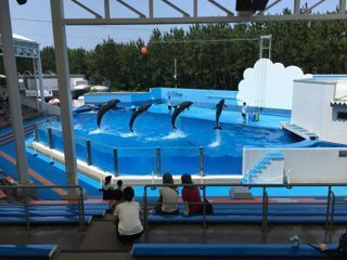 IMG_9167.jpg