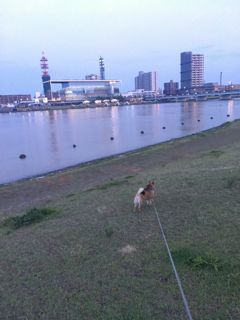 IMG_9195.jpg