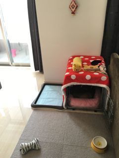 IMG_9684.jpg