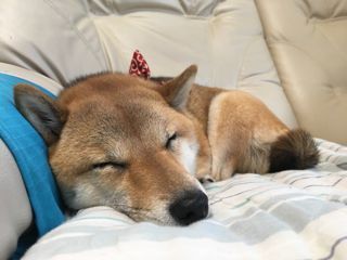 IMG_9900.jpg