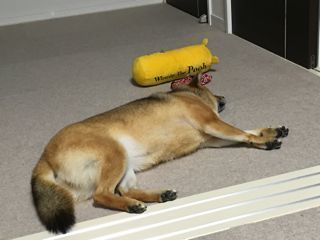 IMG_9967.jpg